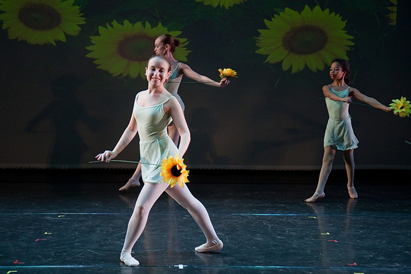 The Nutcracker 2008 (dress rehearsal)