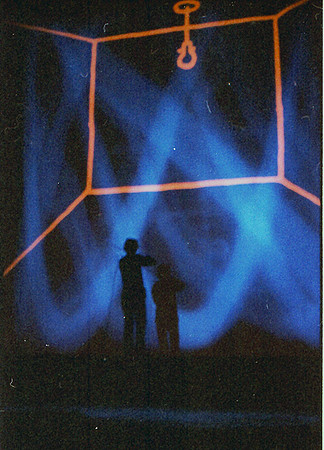 LAURIE ANDERSON