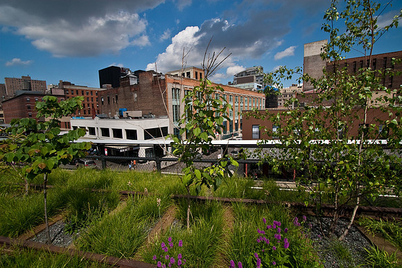 The High Line