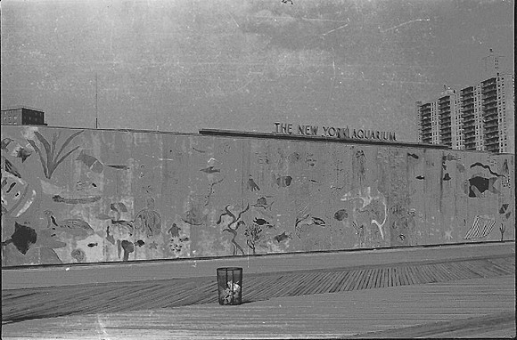 New York Aquarium Mural, March 1978