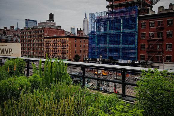 Views from the High Line