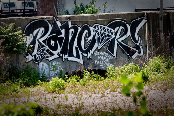 Gowanus, Reader "Gallery"