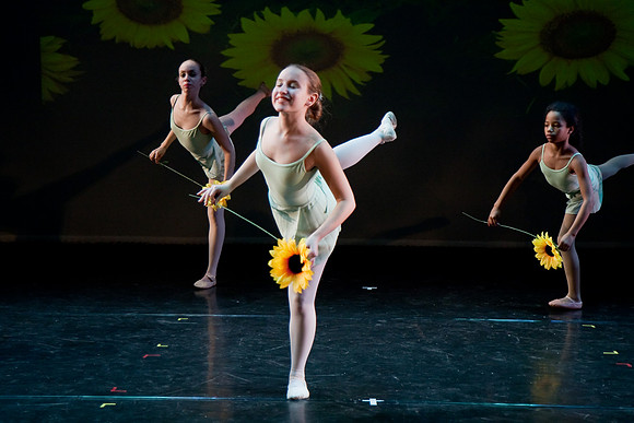 The Nutcracker 2008 (dress rehearsal)