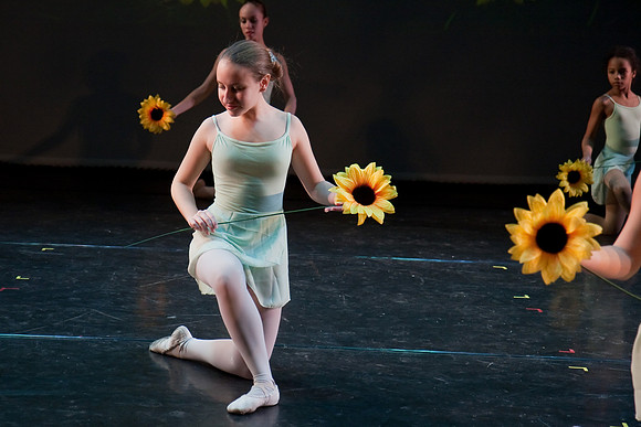 The Nutcracker 2008 (dress rehearsal)