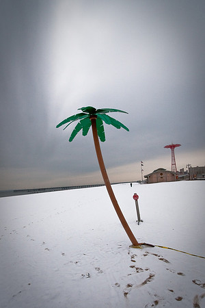Coney Island in the Snow