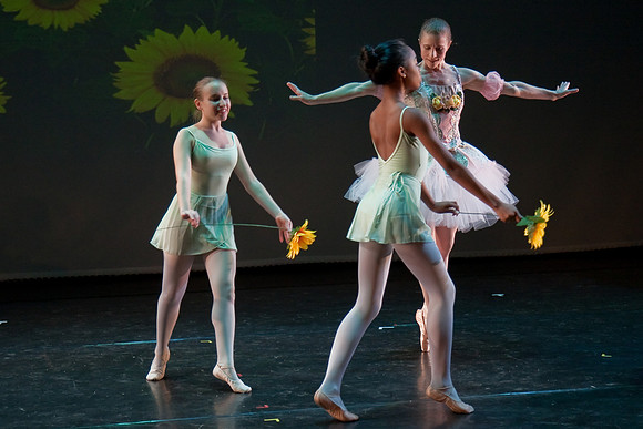 The Nutcracker 2008 (dress rehearsal)