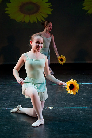 The Nutcracker 2008 (dress rehearsal)