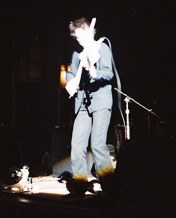 LAURIE ANDERSON
