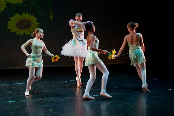 The Nutcracker 2008 (dress rehearsal)