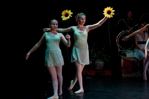 The Nutcracker 2008 (dress rehearsal)