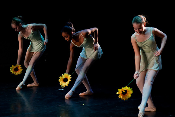 The Nutcracker 2008 (dress rehearsal)