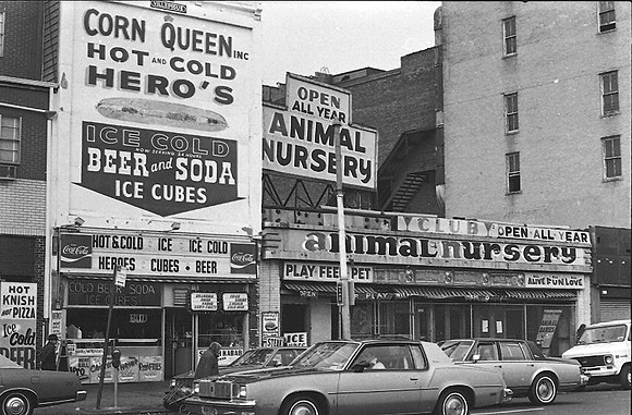 Surf Ave and West 15 St Animal Nursery, March 1979