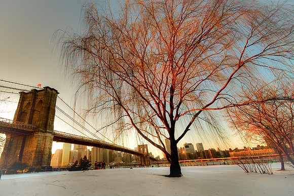 Snow in DUMBO