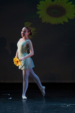 The Nutcracker 2008 (dress rehearsal)
