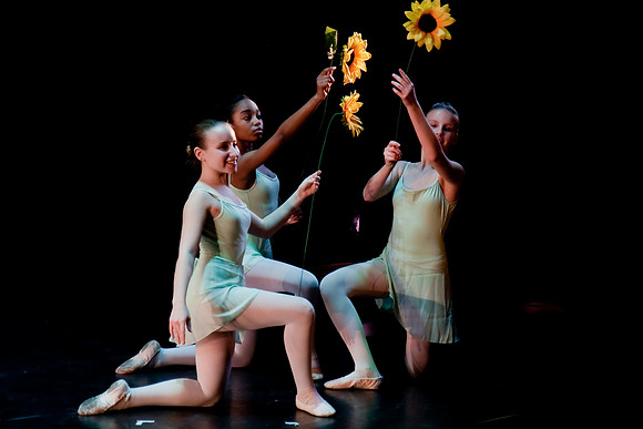 The Nutcracker 2008 (dress rehearsal)