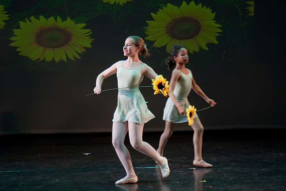 The Nutcracker 2008 (dress rehearsal)