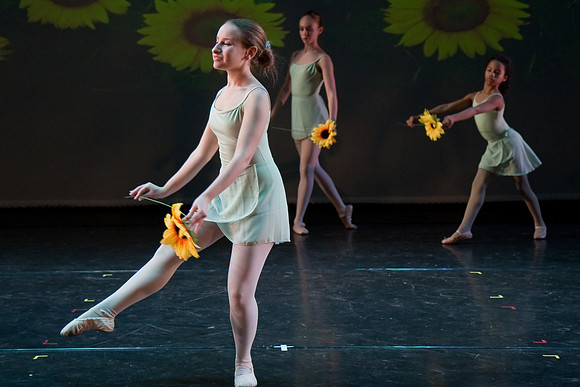 The Nutcracker 2008 (dress rehearsal)