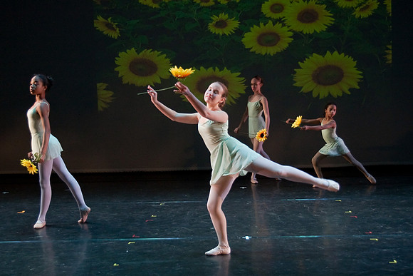 The Nutcracker 2008 (dress rehearsal)