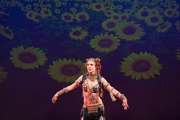 The Nutcracker 2008 (dress rehearsal)